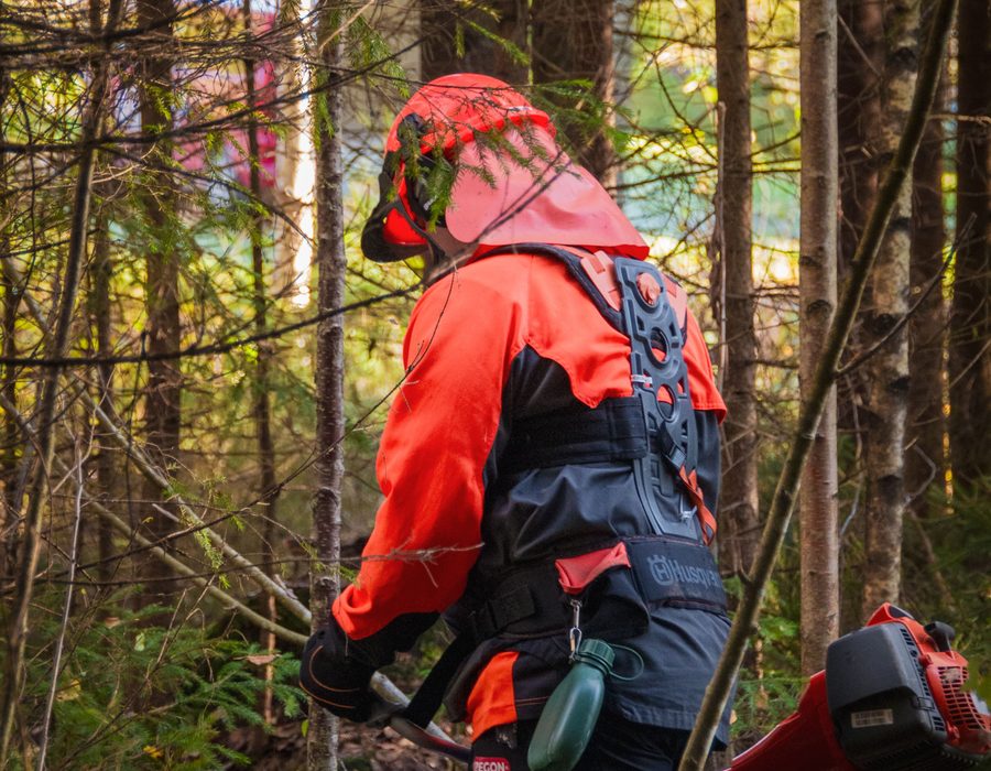 Débroussaillage en équipement de protection